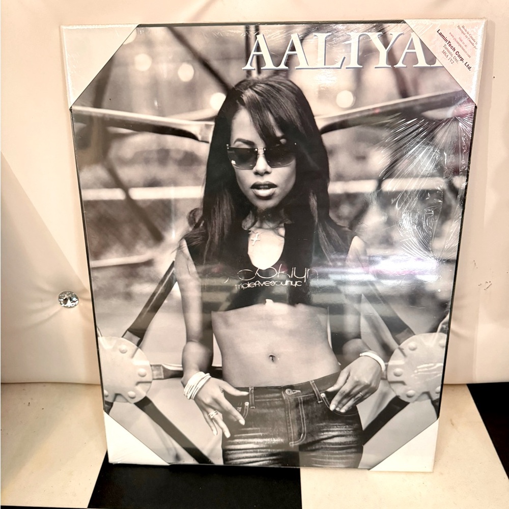 Aaliyah Home Poster Wall Art
